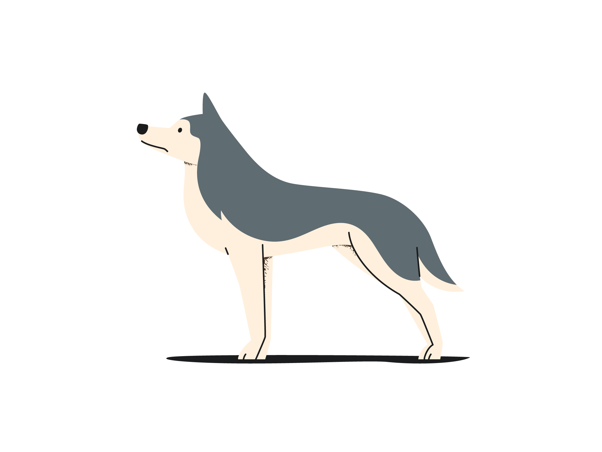 an illustration of a medium sized dog looking into the distance